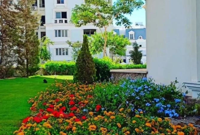 7939688 - صورة العقار 2