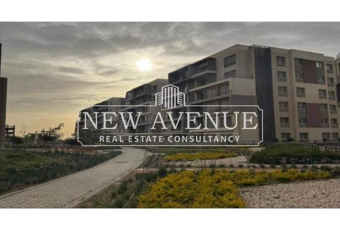 8393296 - صورة العقار 3