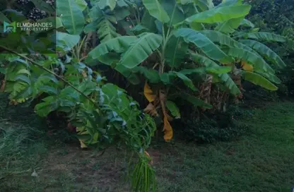 فيلا - 4 غرف نوم - 4 حمامات للبيع في شارع طلعت مصطفي - الرحاب المرحلة الثانية - الرحاب - مدينة القاهرة الجديدة - القاهرة