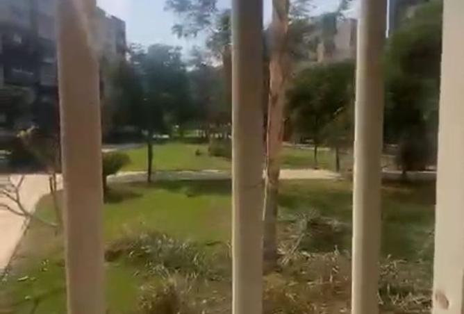 8255581 - Property Image 3