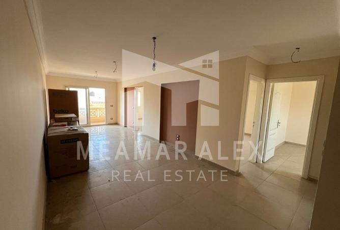 8234502 - Property Image 3