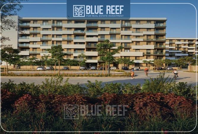 8552691 - Property Image 3