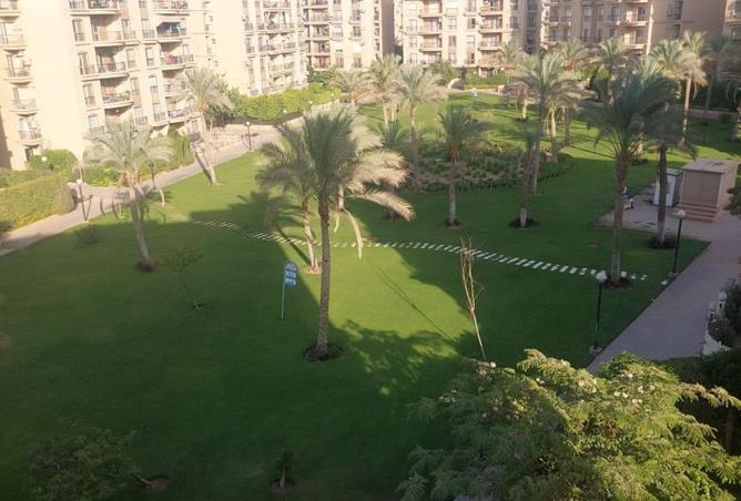 8039739 - الصورة الرئيسية للعقار