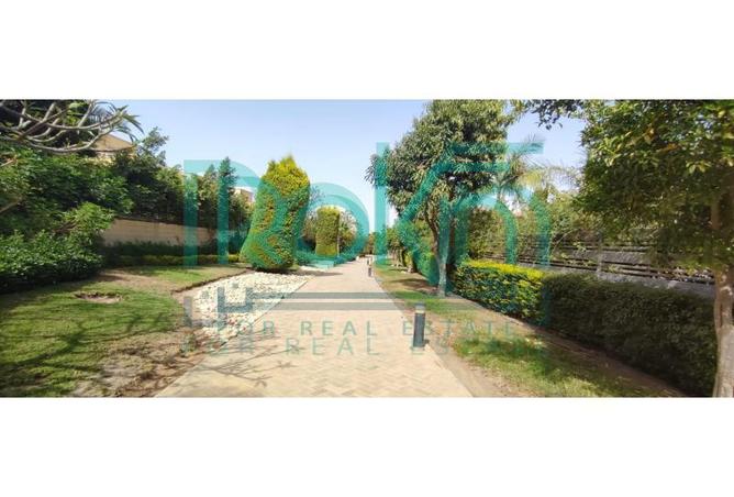 6303940 - Property Image 2