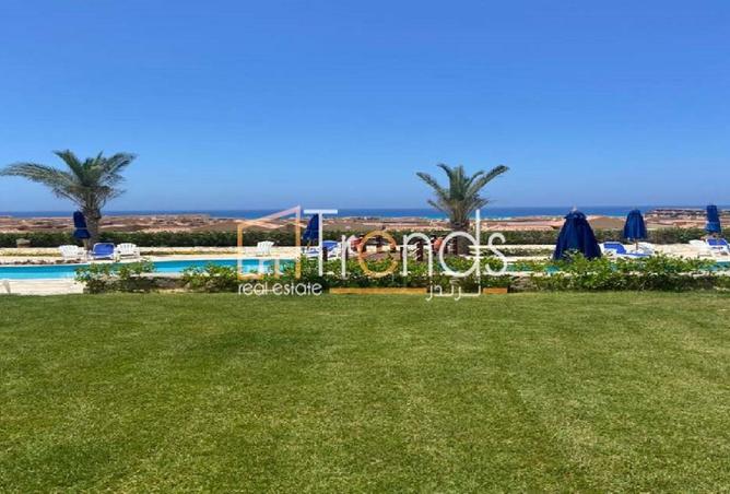 8447280 - Property Image 3