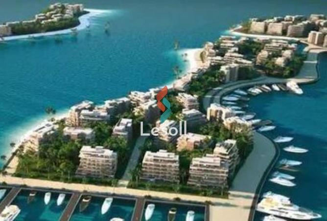 8218746 - Property Image 3