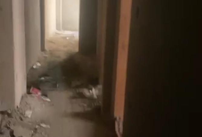 8474330 - Property Image 2