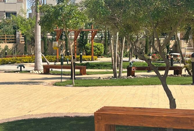 8017131 - صورة العقار 3