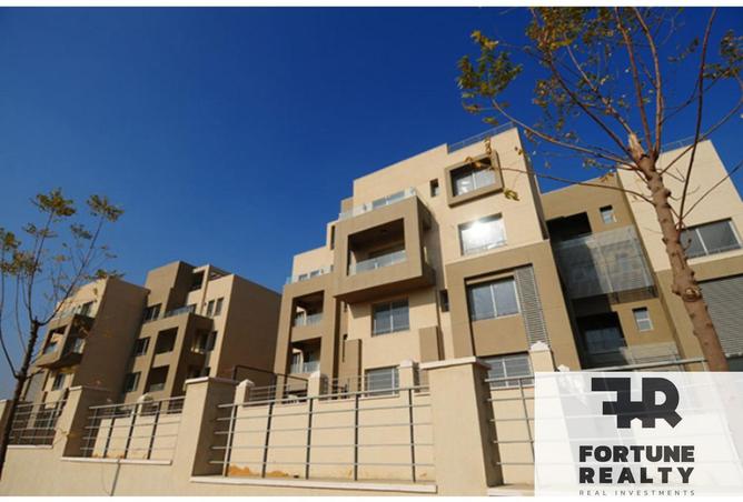 8427654 - Property Image 2