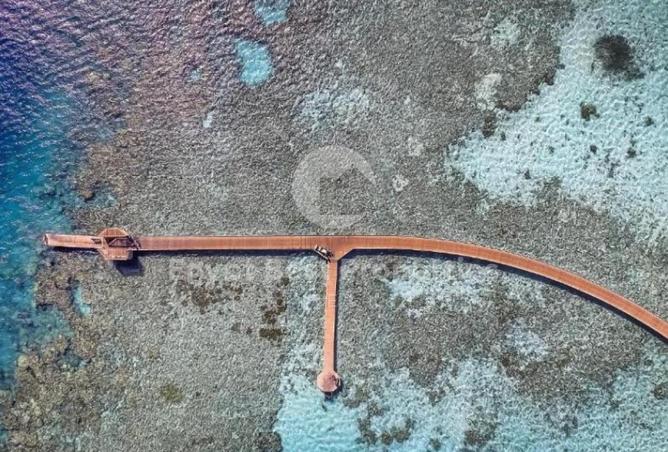 8536250 - صورة العقار 2