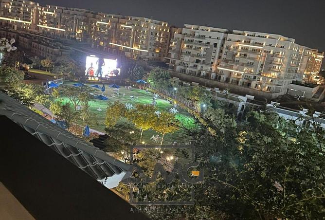 8560060 - Property Image 3