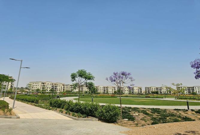 7901486 - Property Image 3