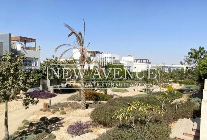 8438874 - Property Image 3