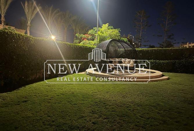 8410666 - Property Image 3