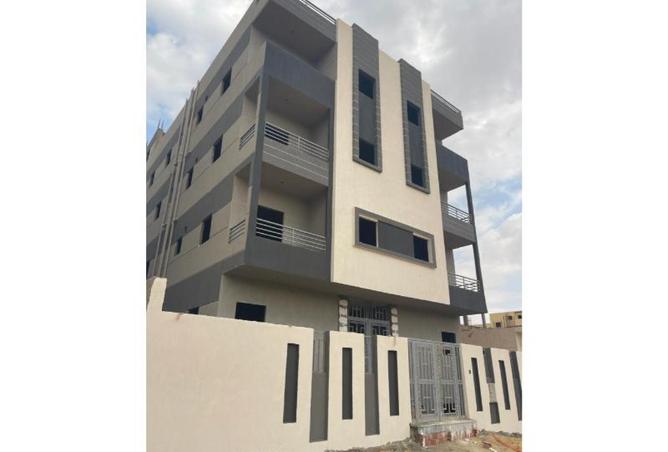 8393073 - Property Image 3