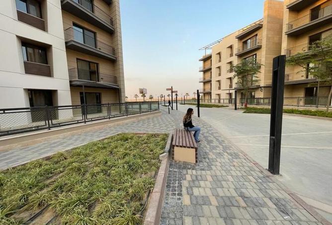 8216415 - Property Image 2