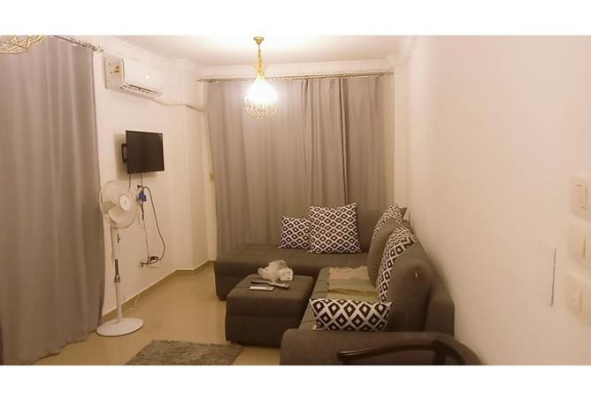 8217839 - Property Image 3