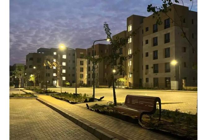 8360870 - Property Image 3