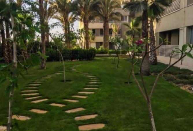 8465083 - صورة العقار 3