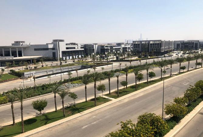 7985928 - الصورة الرئيسية للعقار