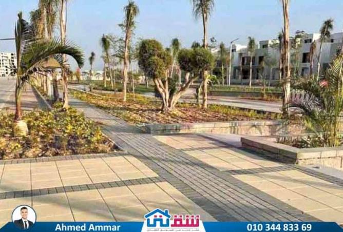 8027426 - صورة العقار 3
