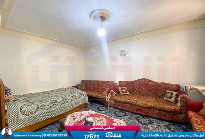 8006060 - Property Image 3