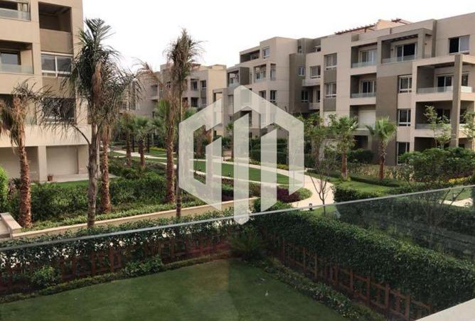 8245919 - Property Image 3