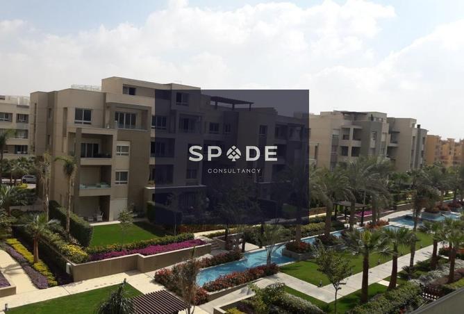 8107091 - Property Image 3