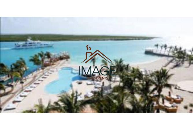 8240250 - صورة العقار 3