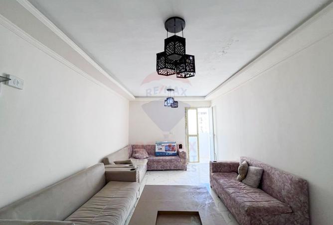 7997174 - صورة العقار 2