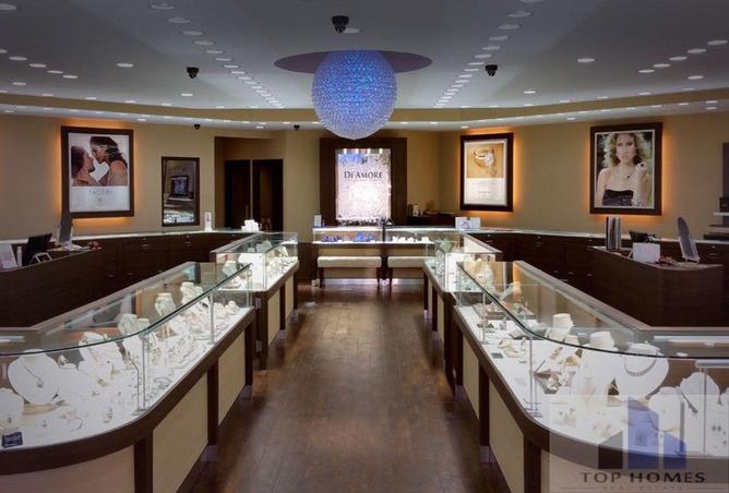 8233393 - Property Image 3