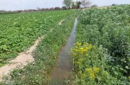 مزرعة - استوديو للبيع في وادي النطرون - البحيرة