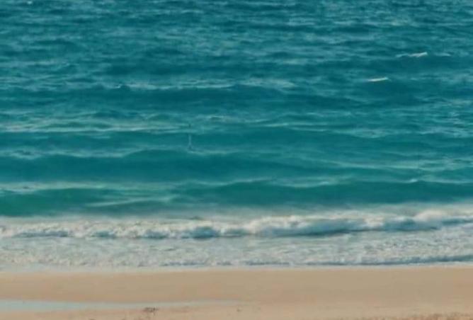 8473320 - صورة العقار 2