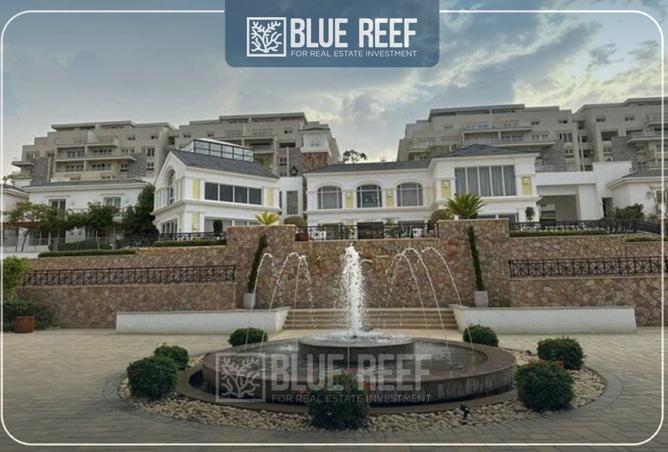 8442342 - Property Image 3