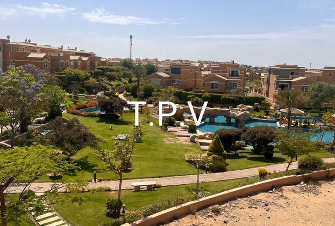 7995229 - Property Image 2