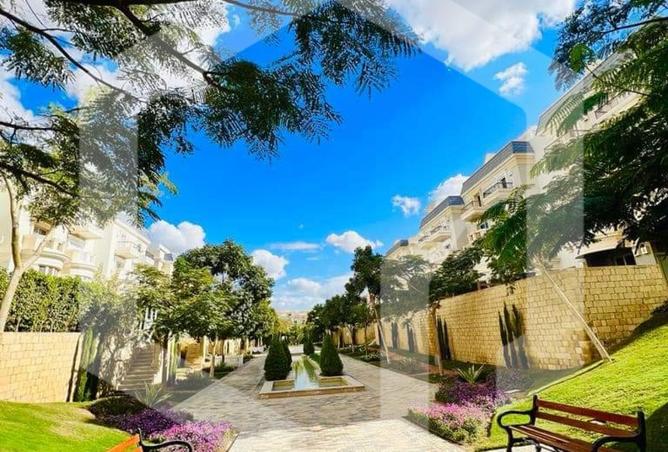7888627 - Property Image 3