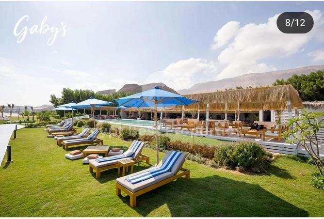 8306487 - صورة العقار 2