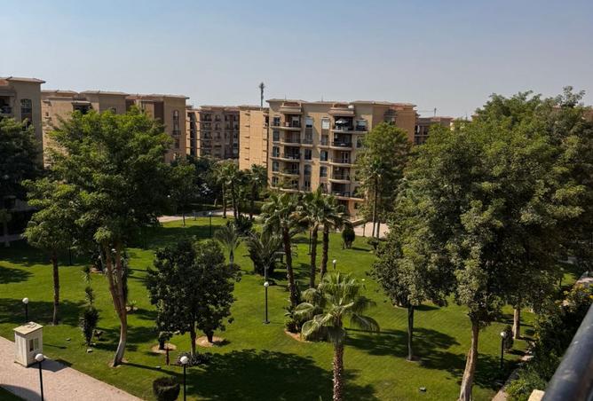 8063704 - صورة العقار 2