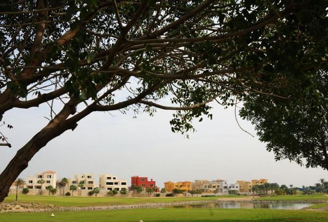 8071768 - صورة العقار 2
