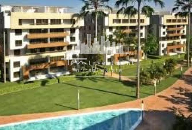 7905962 - Property Image 3