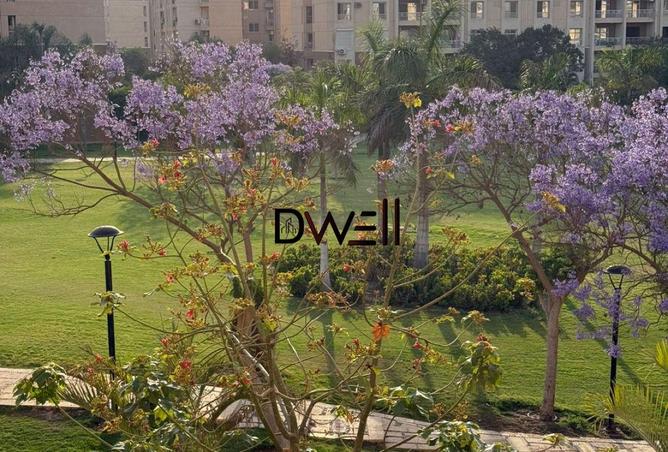 7910842 - Property Image 2