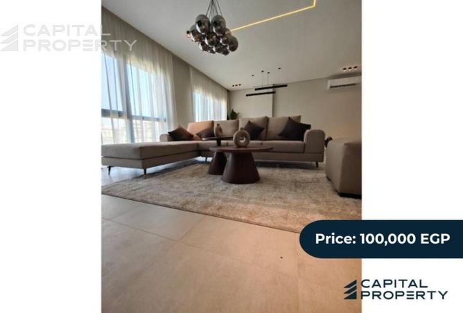 8389823 - Property Image 3