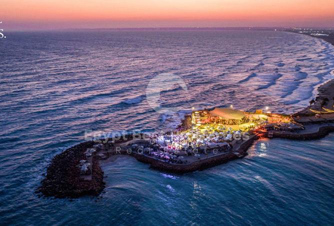 8217696 - صورة العقار 3