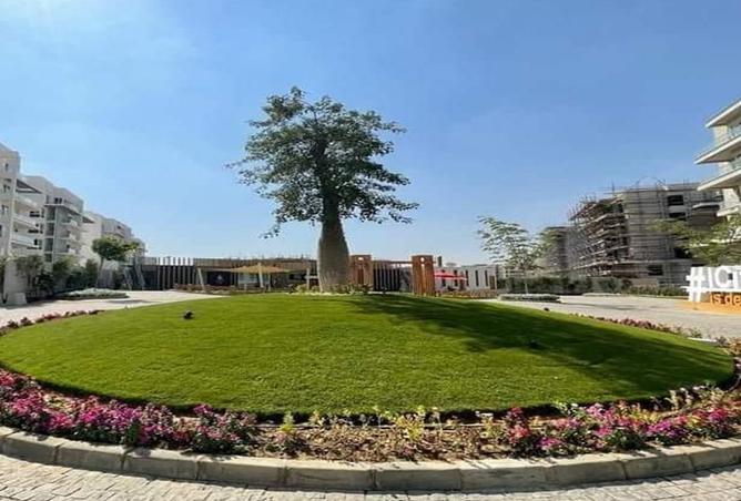 8336885 - Property Image 3