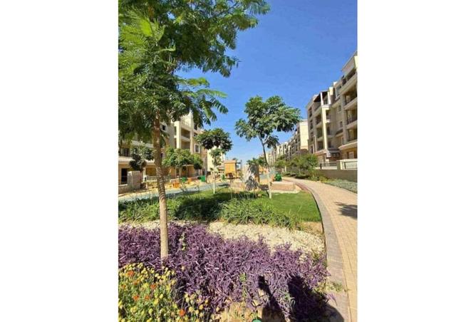 8163160 - Property Image 2