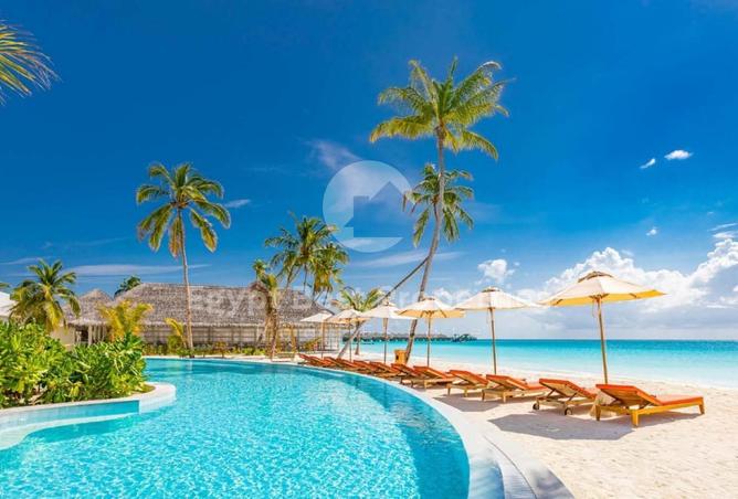 8173687 - Property Image 3