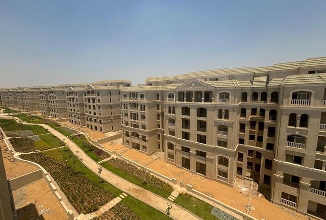 8426221 - Property Image 3