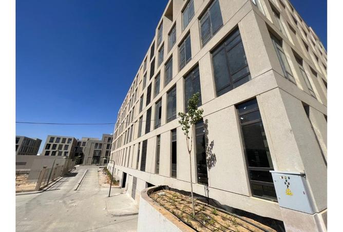 8553593 - Property Image 3