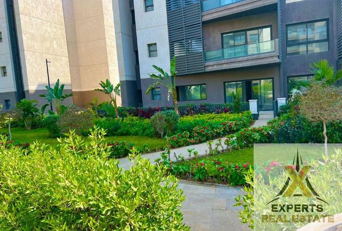 8157791 - Property Image 3