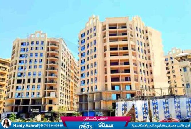 8422233 - Property Image 3